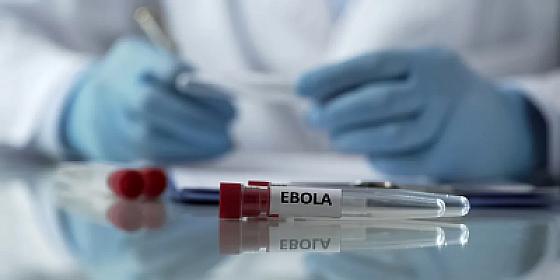 Ebolaya ilk yoluxma faktı qeydə alındı - 