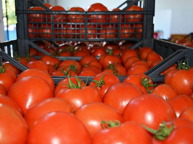 Kilosu 20 qəpiklik pomidor Bakıda 