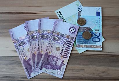 Is Hungary switching to the euro?