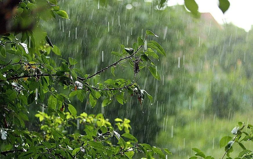 Yağış davam edir - 
