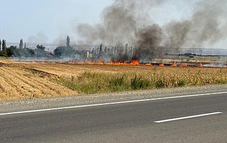 An open area is burning in Absheron.