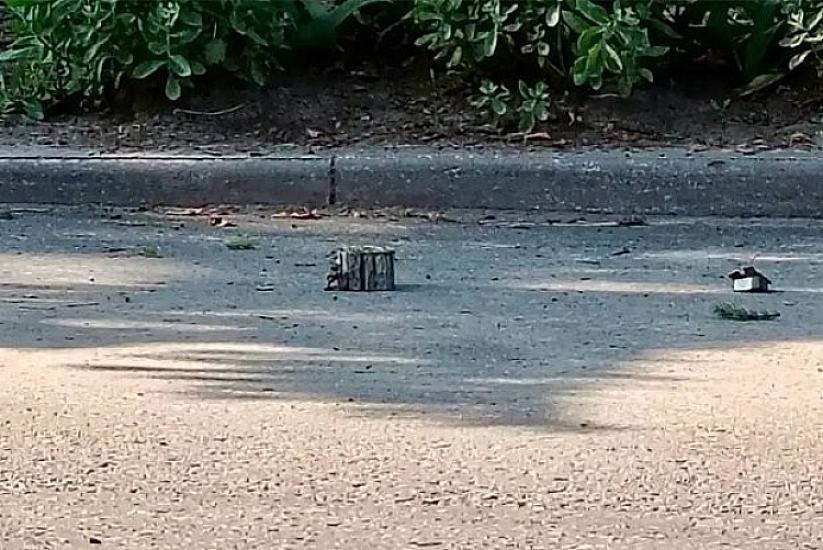 Rusiyada məmur avtomobili