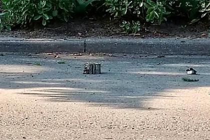 Rusiyada məmur avtomobili