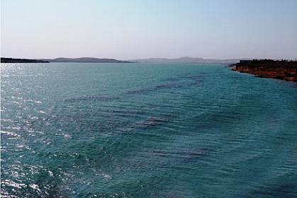 Ağdamda ata və iki azyaşlı övladı 