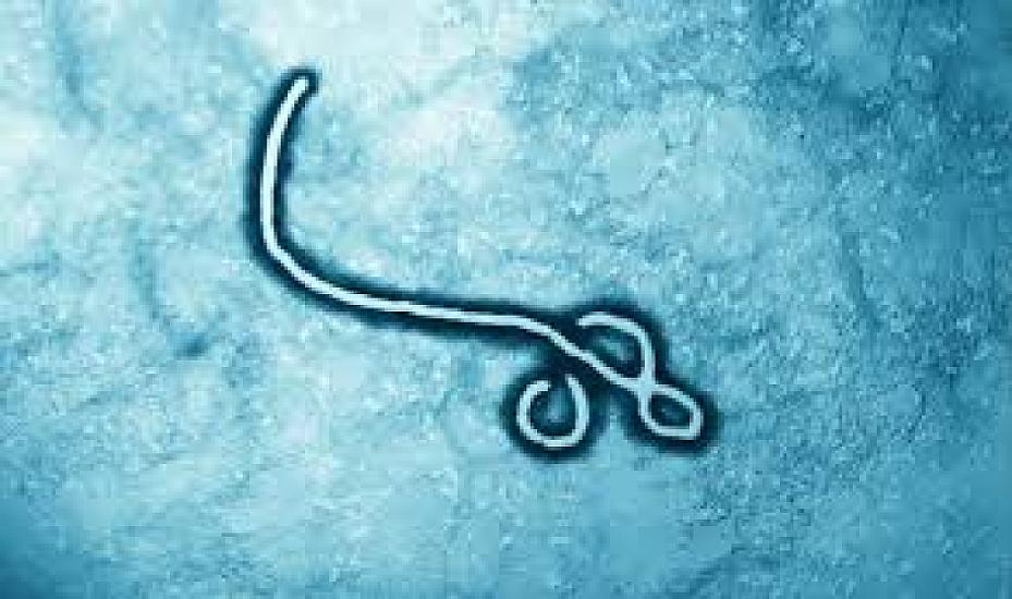 Bu ölkədə “Ebola”dan ölənlərin sayı 492-yə çatıb