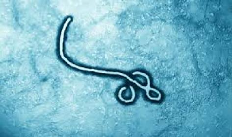 Bu ölkədə “Ebola”dan ölənlərin sayı 492-yə çatıb