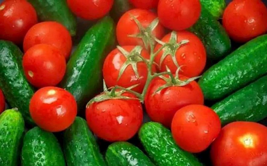 Cucumbers should not be kept next to tomatoes — Reason