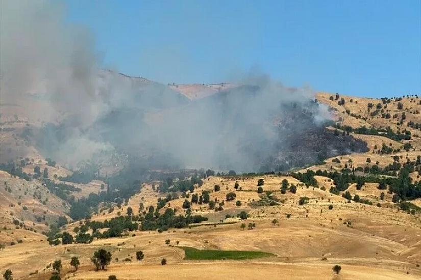 Forests in Muğla and Diyarbakır