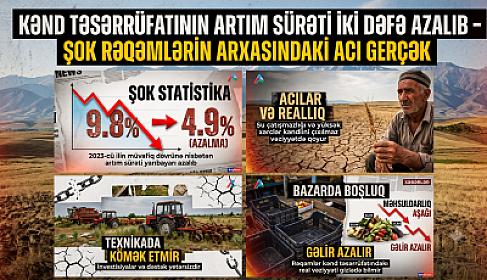 Kənd təsərrüfatının artım sürəti İKİ DƏFƏ azalıb – 