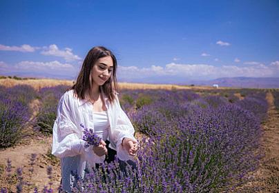 Azərbaycanda lavanda tarlaları – 