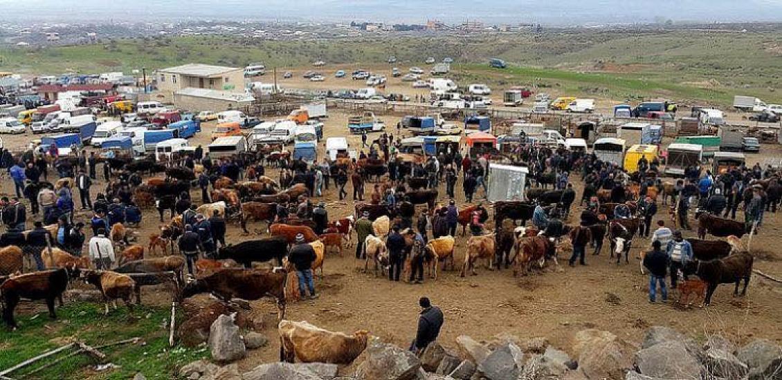 Onlayn mal bazarı? – “Bəlkə də camış göstərsən tanımazlar”
