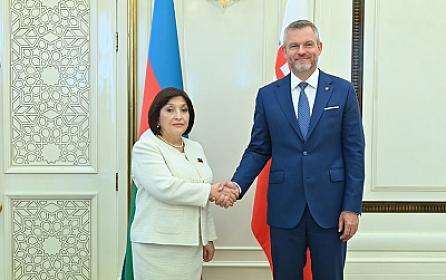Sahibə Qafarova Pelleqrini ilə görüşüb