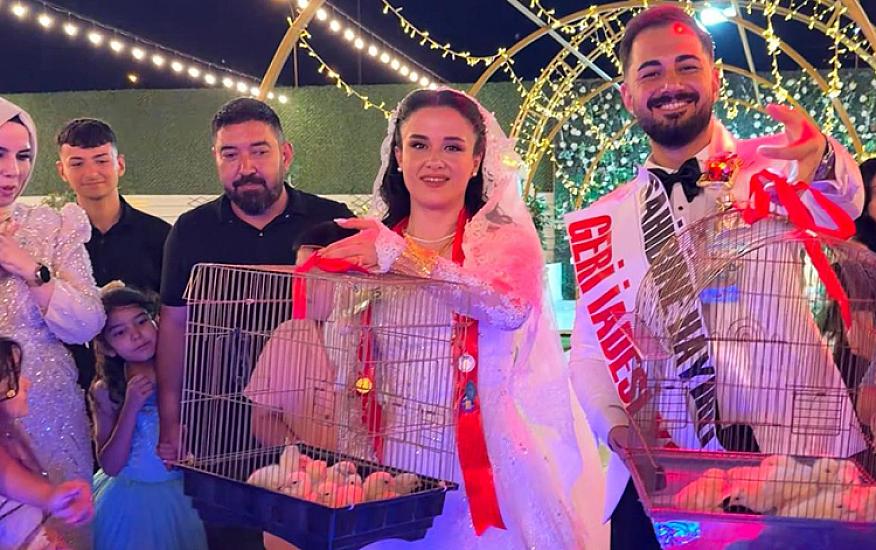 Gəlinə qızıl yox, 100 cücə bağışladı - 