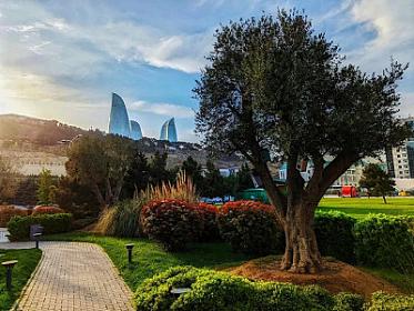 Azərbaycanda 38 dərəcə isti olacaq - 