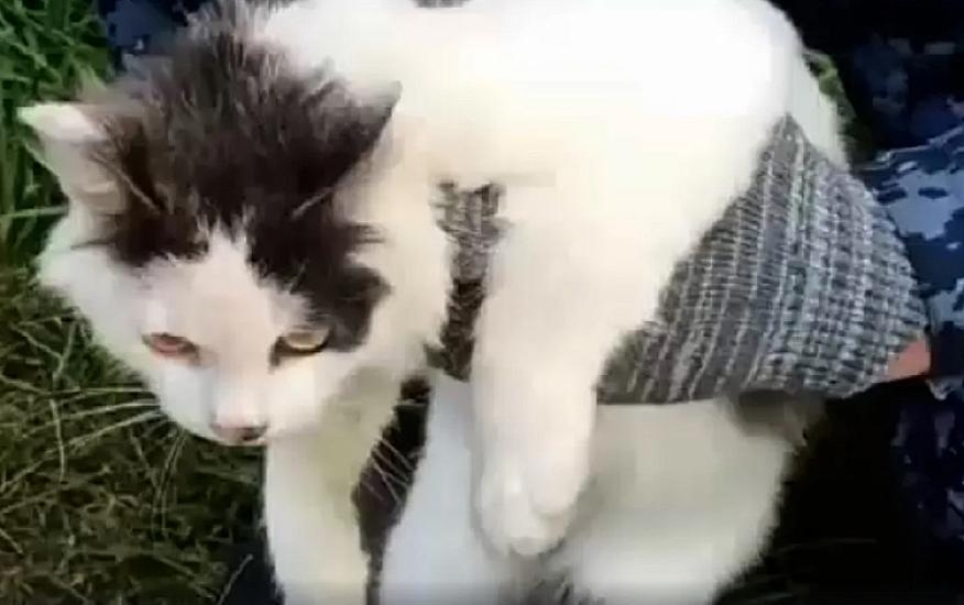 “Kuryer pişik” həbsxanaya narkotik apararkən 