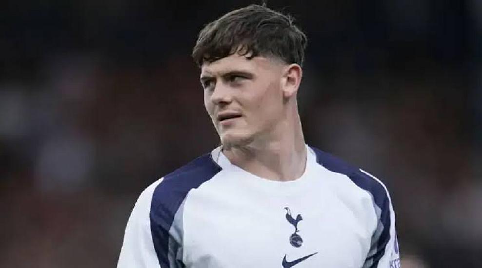 "Tottenhem" daha bir futbolçusunu