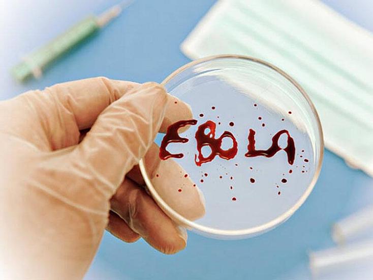 Konqoda Ebola virusuna yoluxanların sayı
