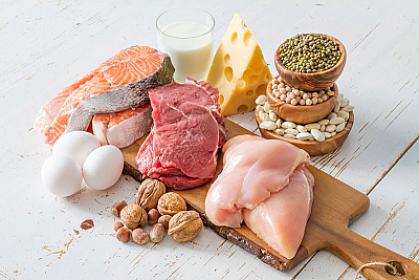 Ən zəngin protein mənbələrindən biri - 