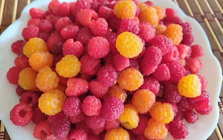 Sarı, yoxsa qırmızı moruq 