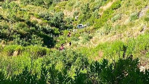 Antalyada avtomobil dərəyə aşıb, beş nəfər ölüb