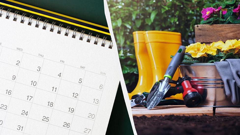 For planting in August