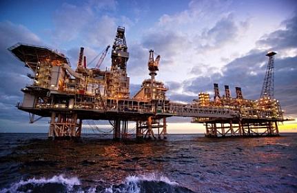 How much is the oil?