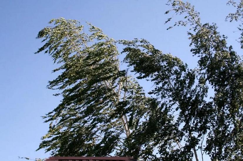 The situation created by unstable weather conditions WAS DISCUSSED -