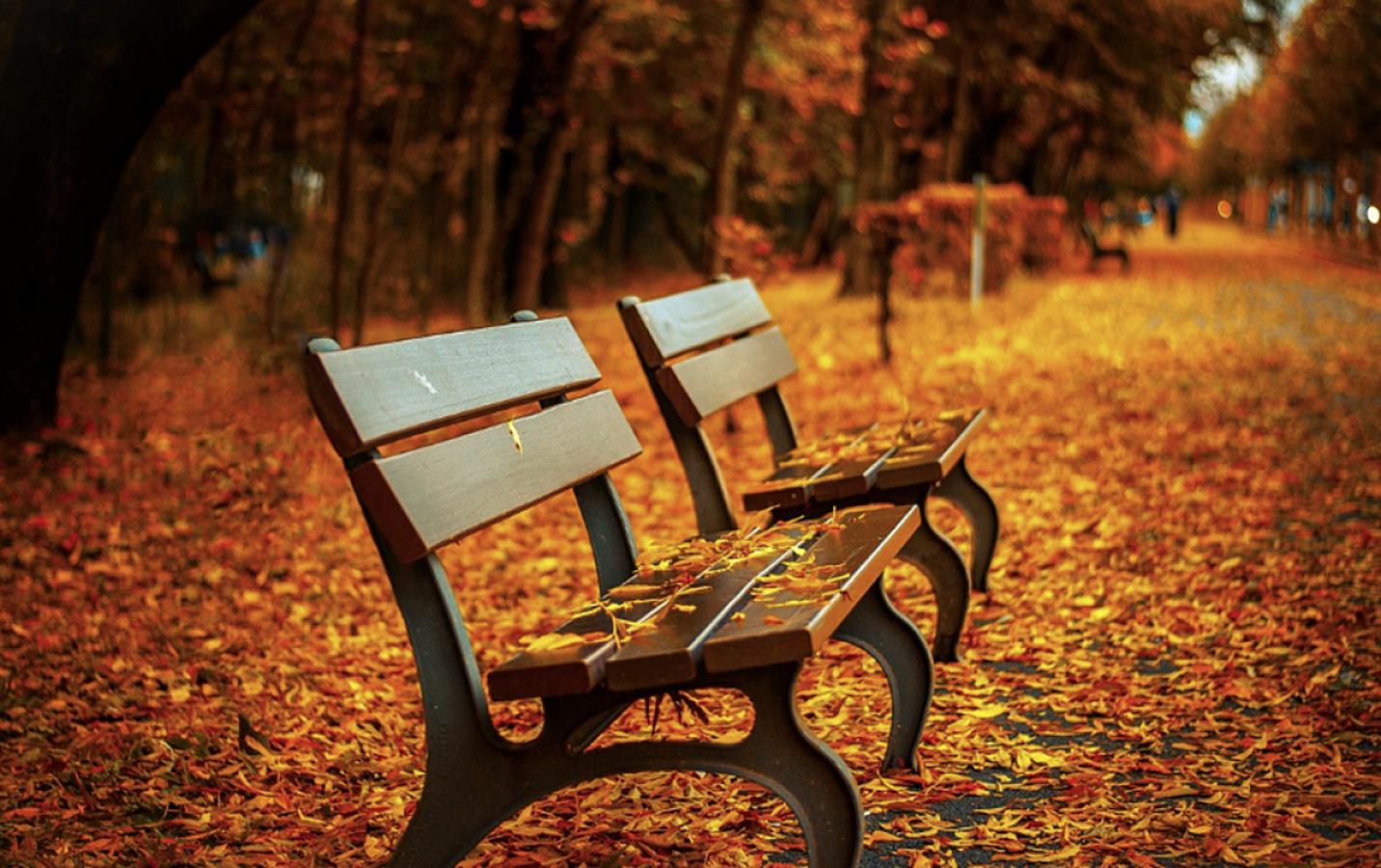 Sabah hava necə olacaq? - 