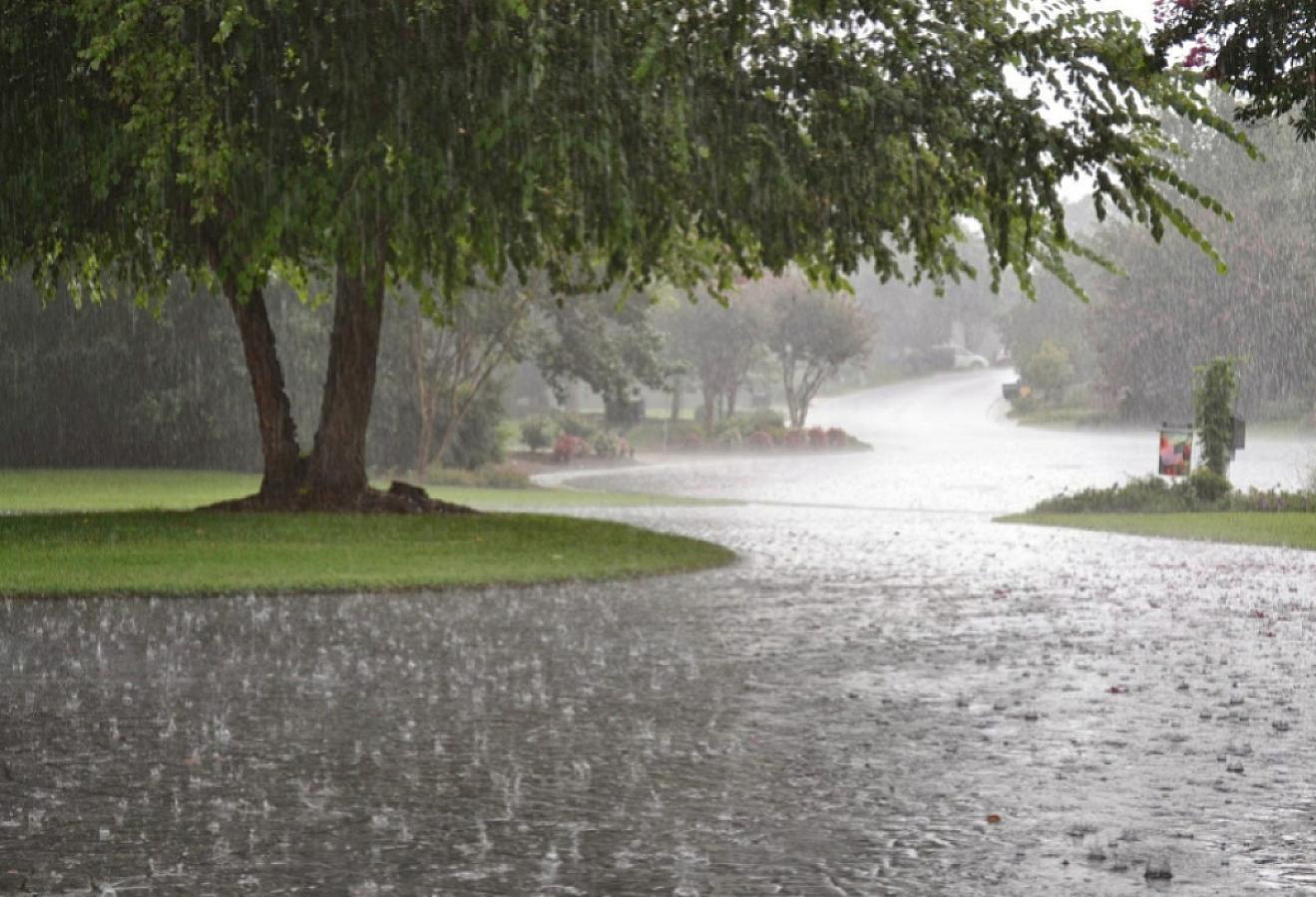 Sabahın HAVA PROQNOZU