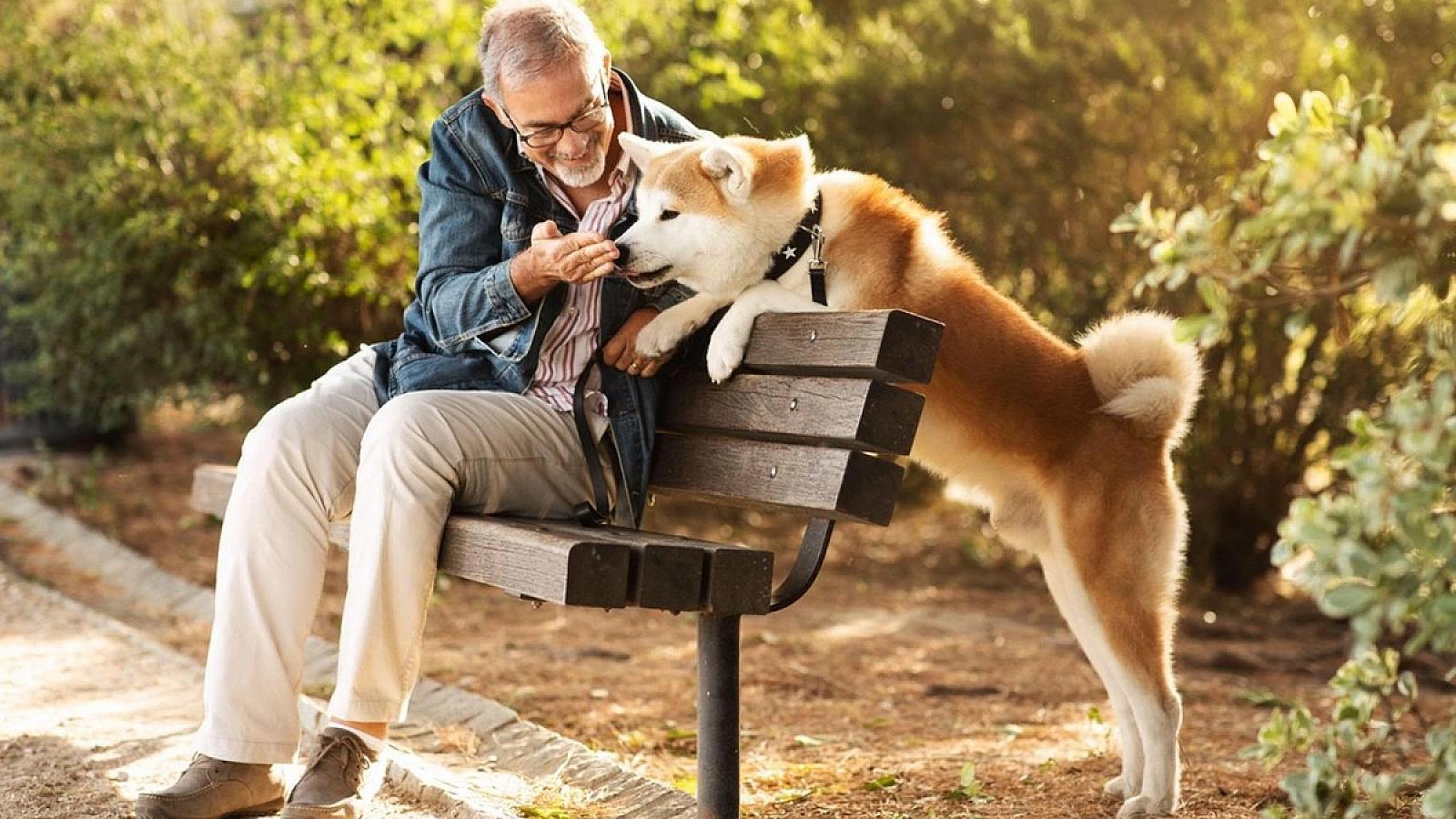 Ученые выяснили, как собаки понимают страх человека