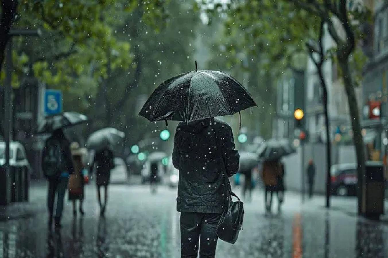 Фактическая погода объявлена