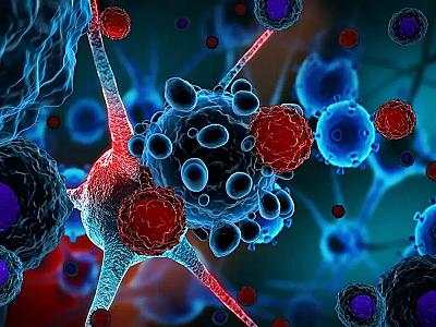 Məşhur aktyor xərçəngin qurbanı oldu - 