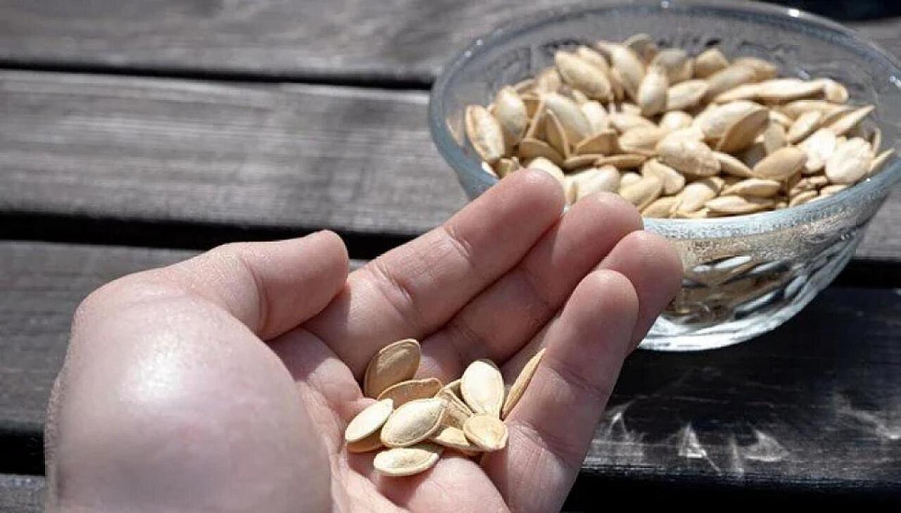 The cause of his cough, which lasted for a year and a half, turned out to be pumpkin seeds.