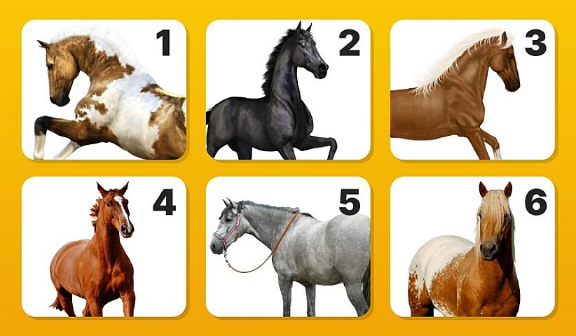 Özünüz haqqında yeni bir şey öyrənin –