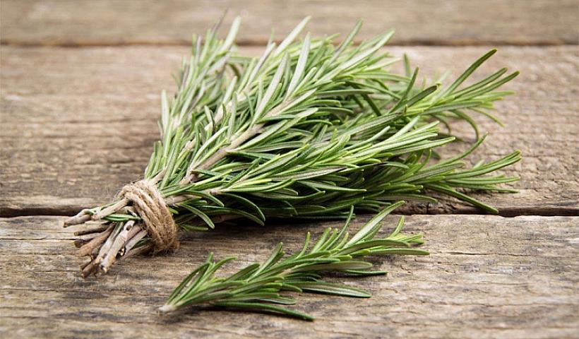 Yada sağaldan məşhur ədviyyat 