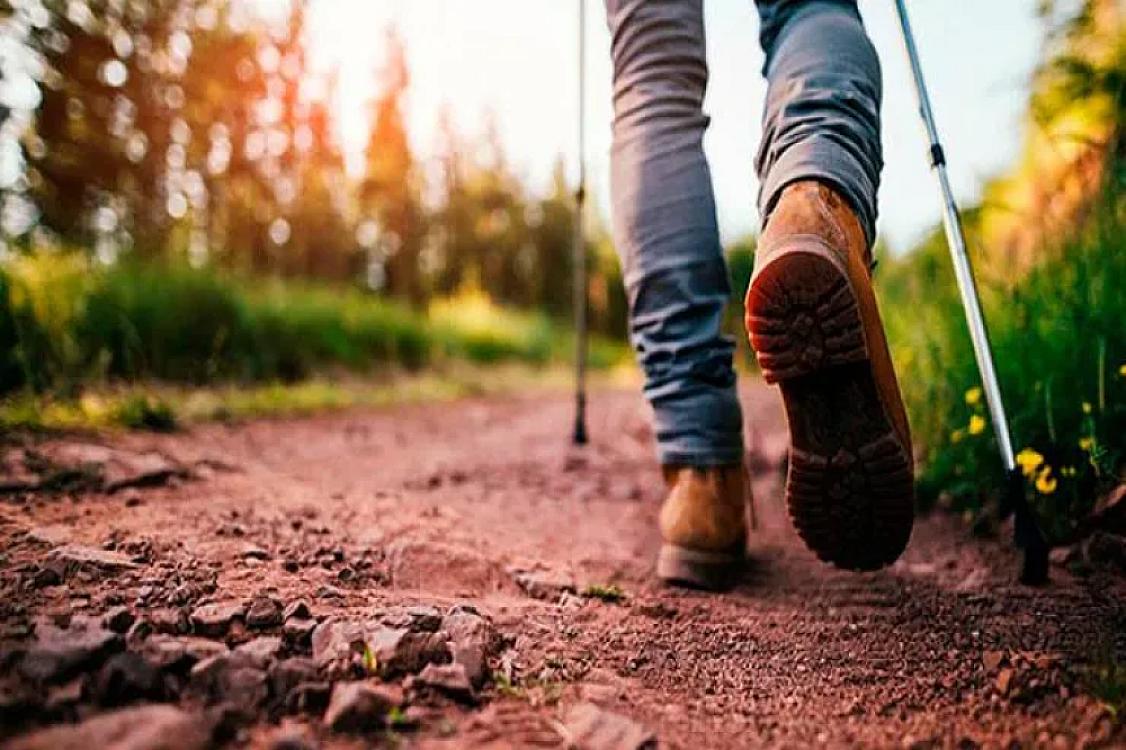 Addımsayar proqramına görə 