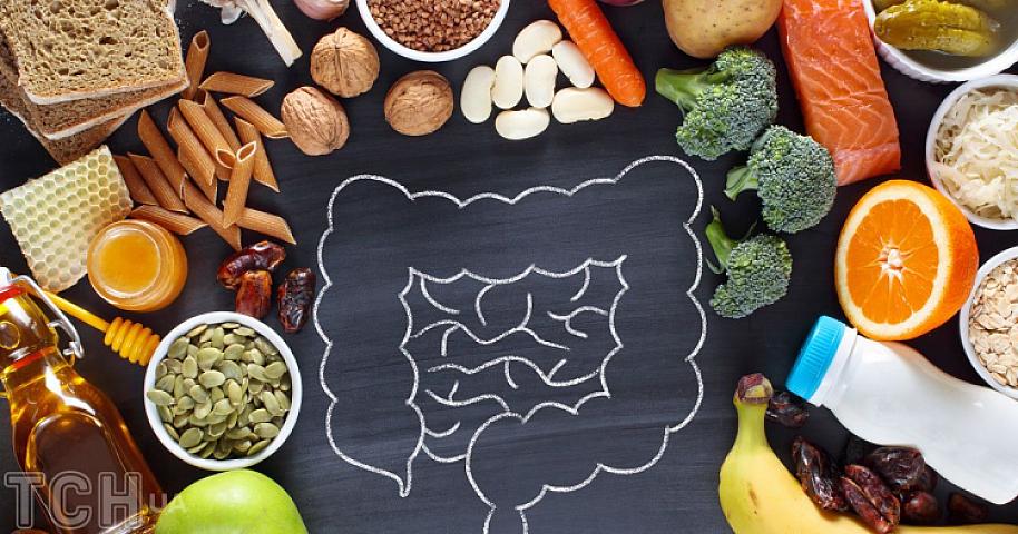 Bağırsaq sağlamlığı faydalı olan