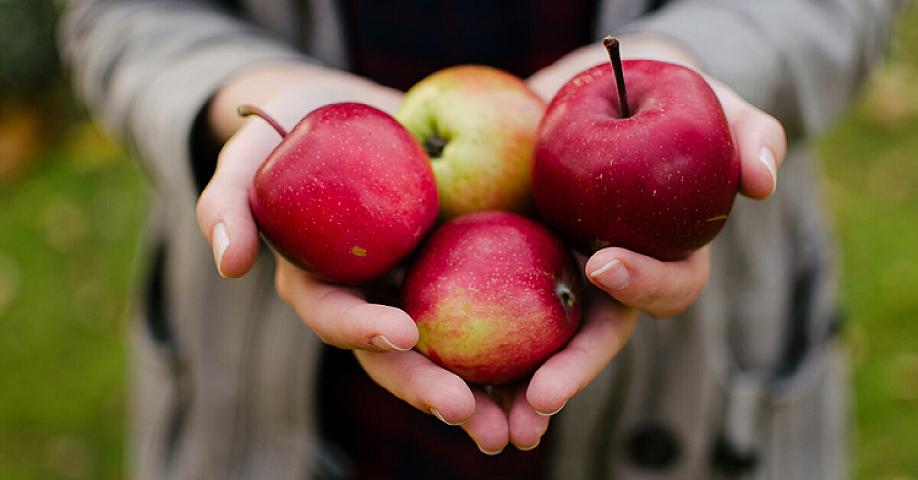 Gündə bir alma yeməyin 