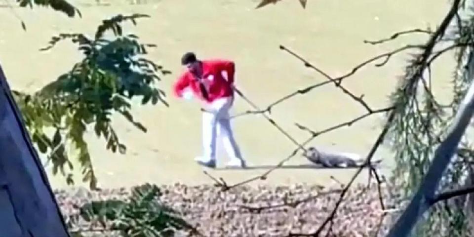 İti kəndirlə sürüyən bələdiyyə işçisi saxlanıldı - 