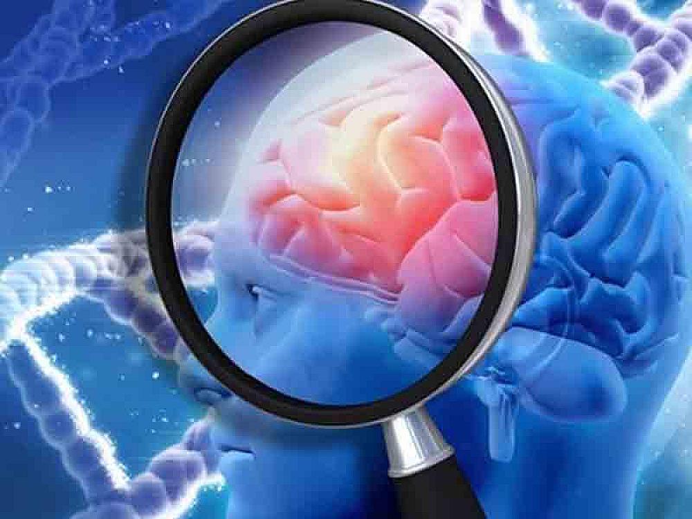 This habit makes the brain 8 years younger – an interesting explanation from scientists