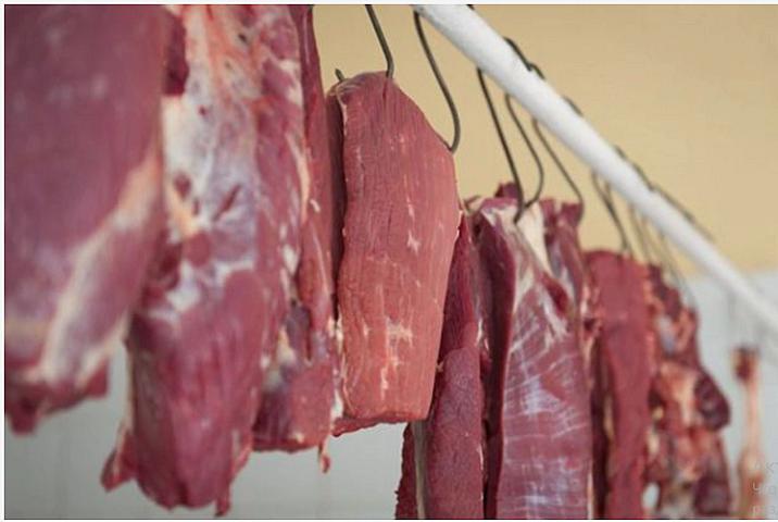 Süni ət Azərbaycana nə vaxt gələ bilər? – 