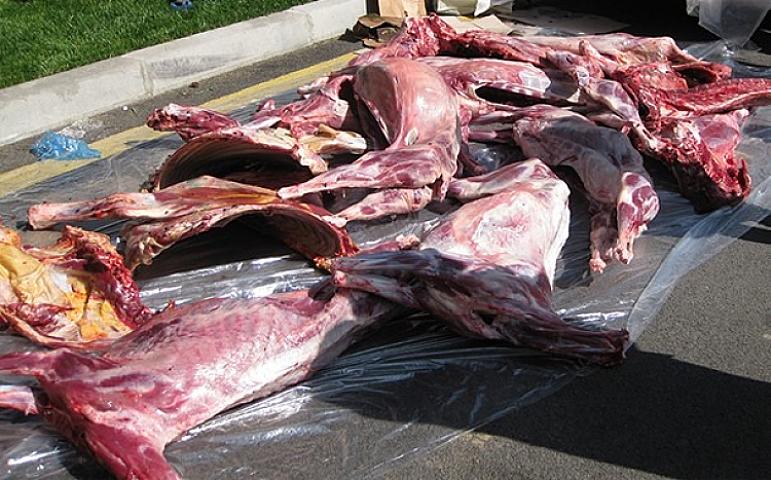 Bakıda 2 tona yaxın yararsız ət aşkarlandı - 
