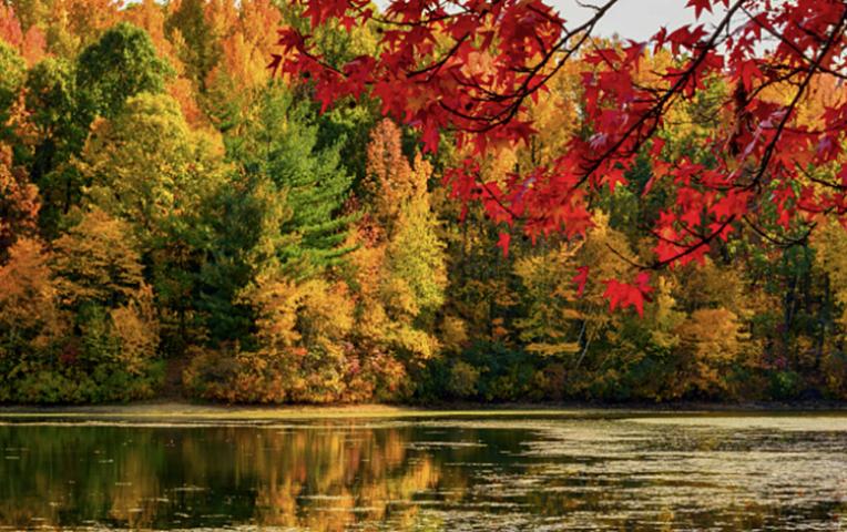 Sabah hava necə olacaq? - 