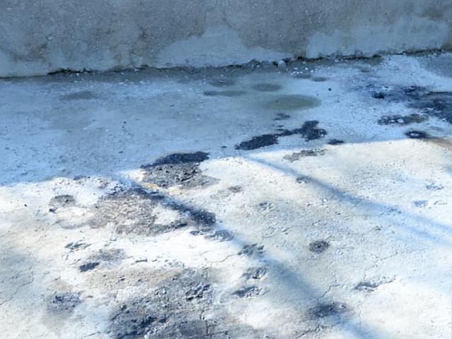 Ofisiantların öldüyü yerdən görüntülər - 