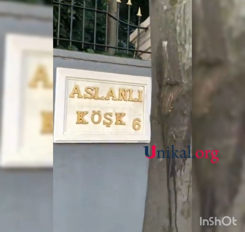 Rüfət Aslanlı Türkiyə barlarında belə görüntüləndi – VİDEO